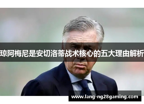 琼阿梅尼是安切洛蒂战术核心的五大理由解析