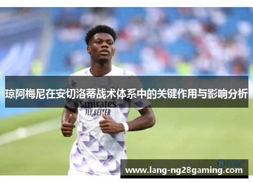 琼阿梅尼在安切洛蒂战术体系中的关键作用与影响分析 琼阿梅尼在安切洛蒂战术体系中的关键作用与影响分析