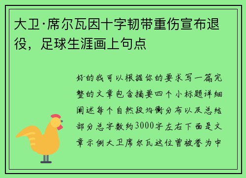 大卫·席尔瓦因十字韧带重伤宣布退役，足球生涯画上句点